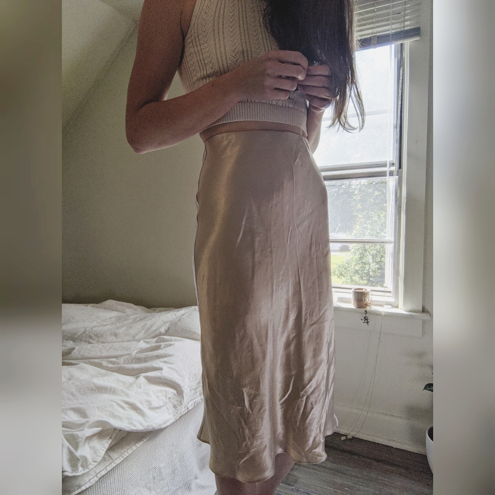Babaton Slip Skirt